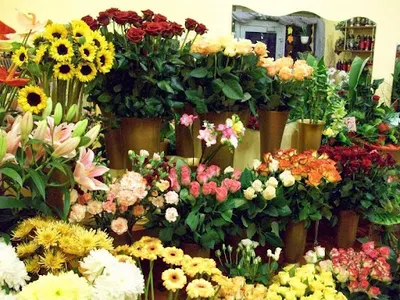 Kwiaciarnia na żorskiej